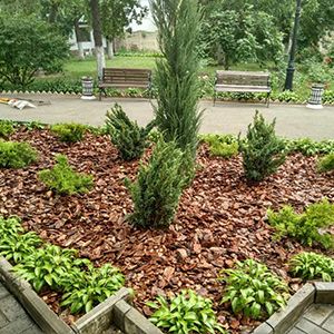 Хвойная мульча в Туле купить - оперативная доставка по всей России